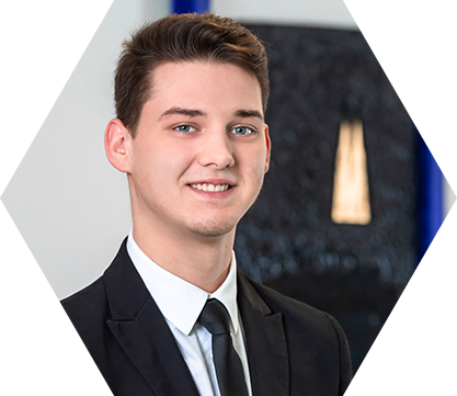 Portrait von Aleksandar Petrovic